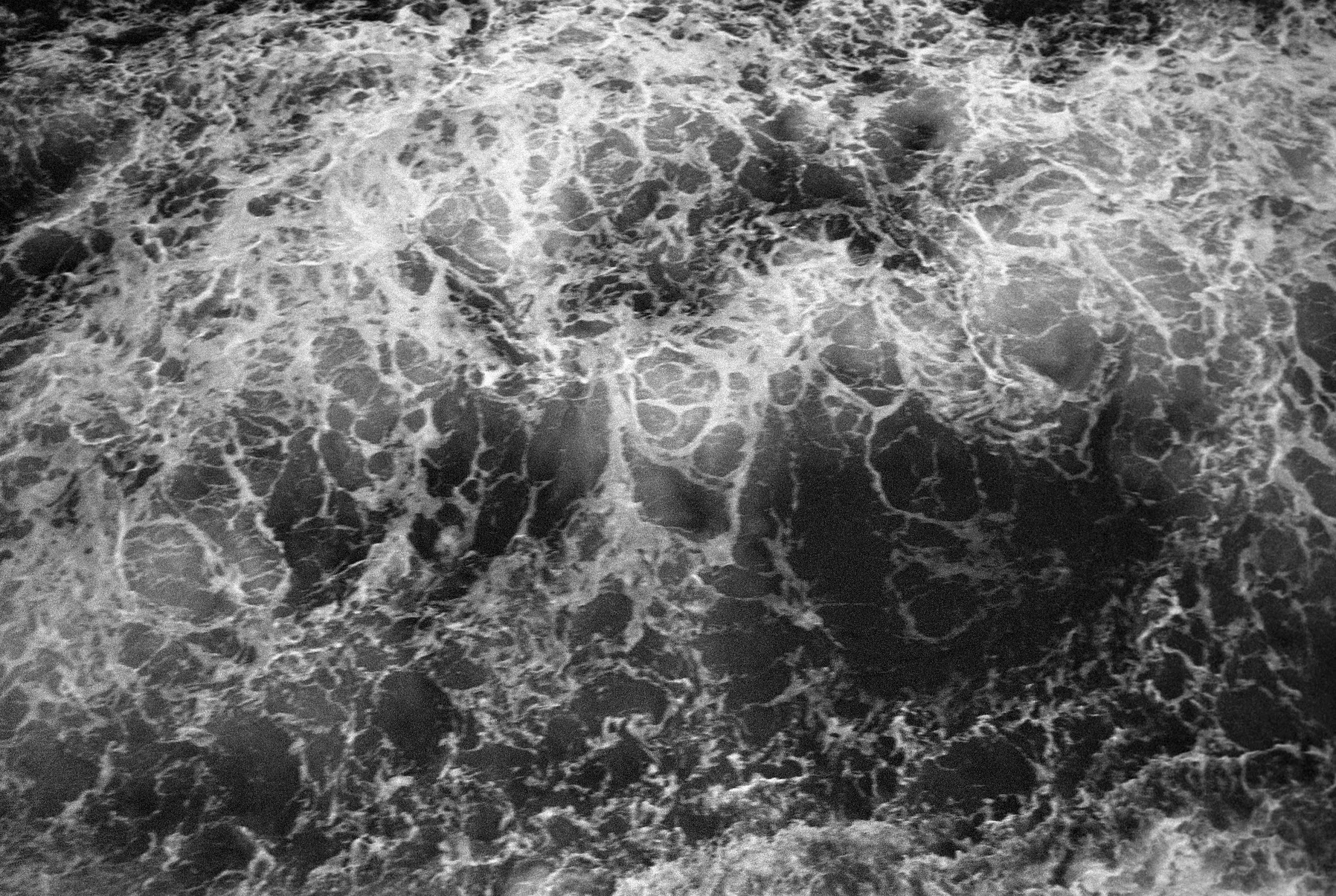 Negatives_77_021.jpg