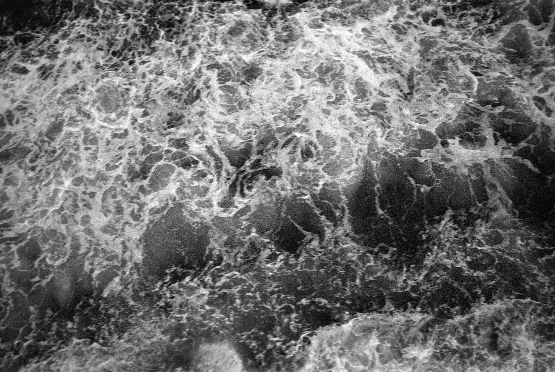 Negatives_77_024.jpg