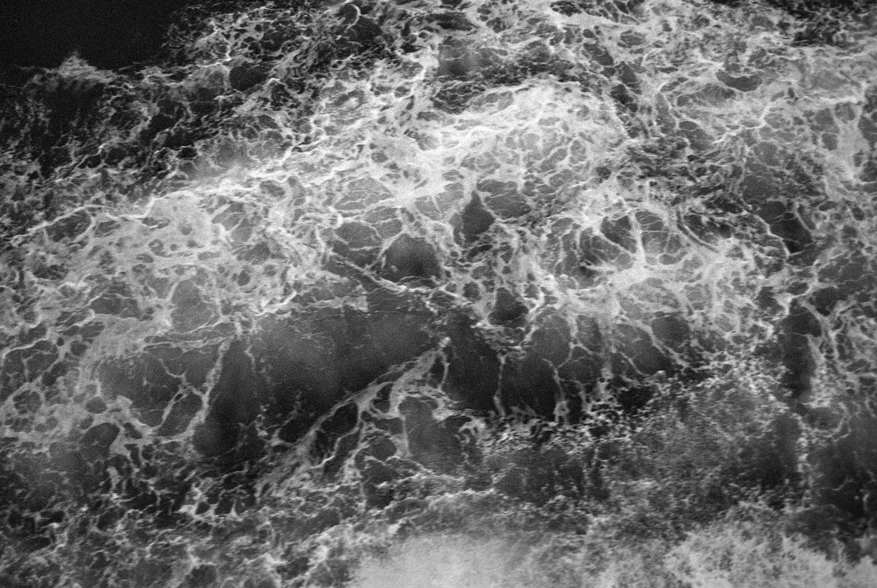 Negatives_77_025.jpg