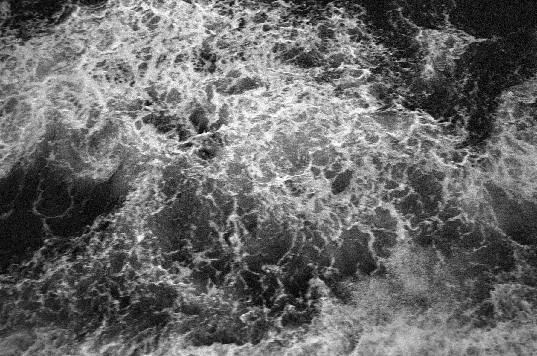 Negatives_77_028.jpg