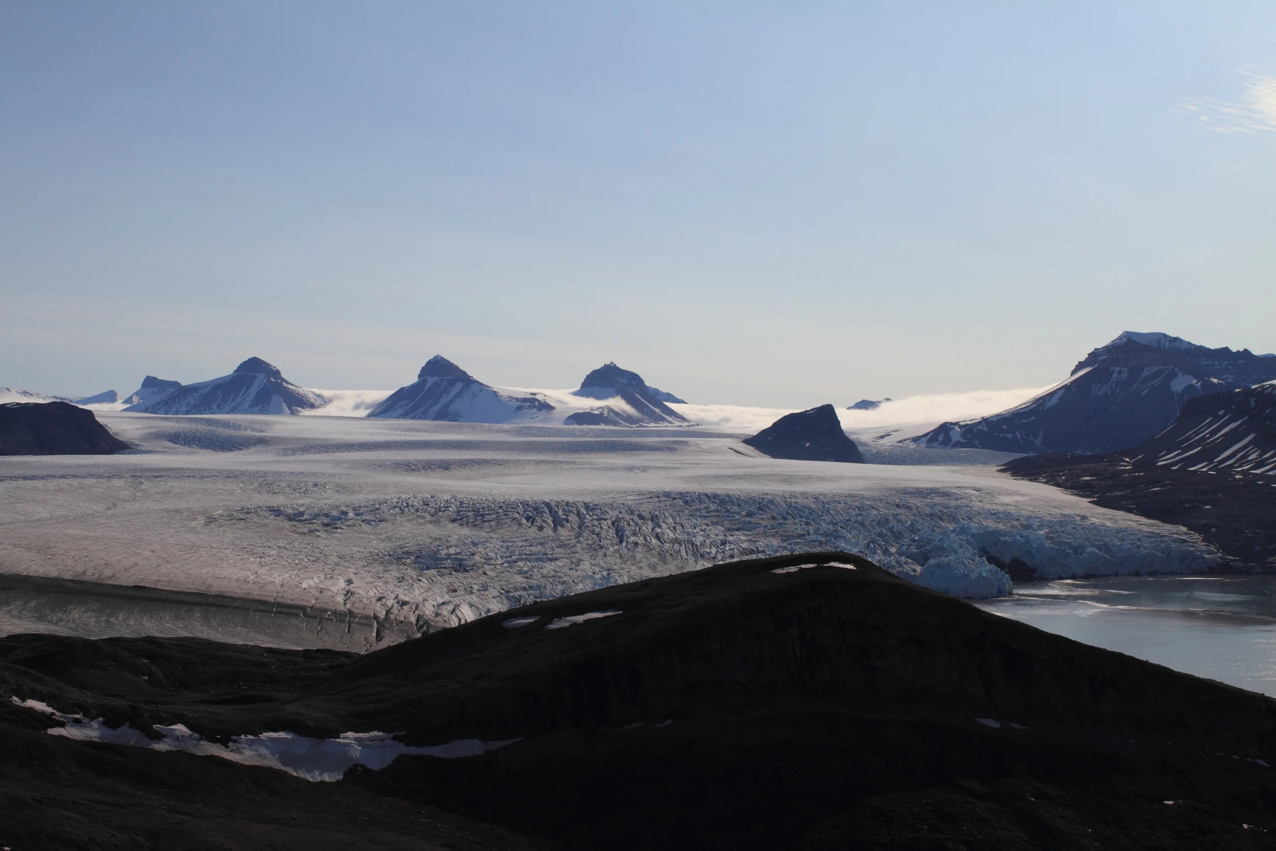 Polar Squarespace1.JPG