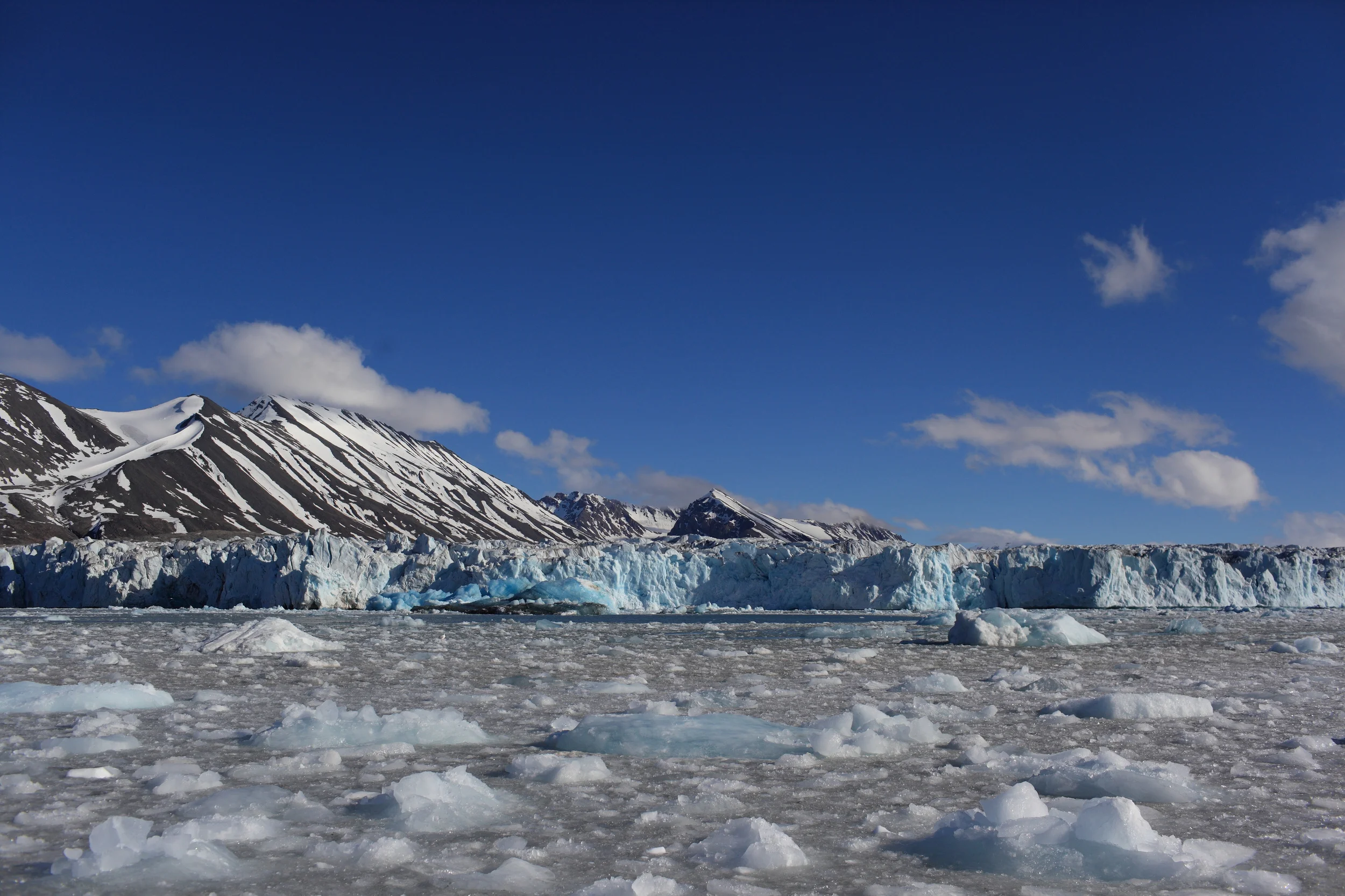 Polar Squarespace5.JPG