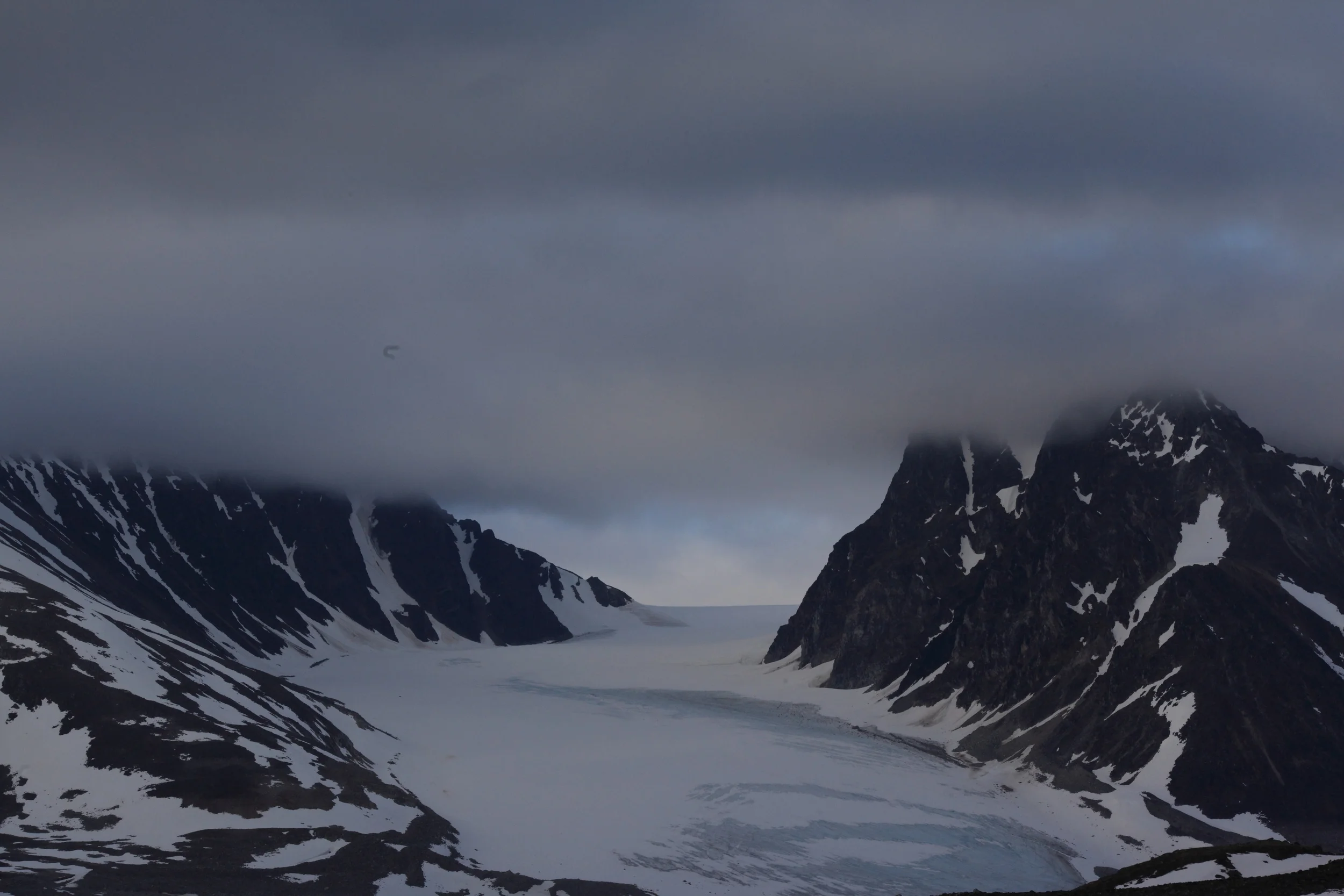 Polar Squarespace6.JPG