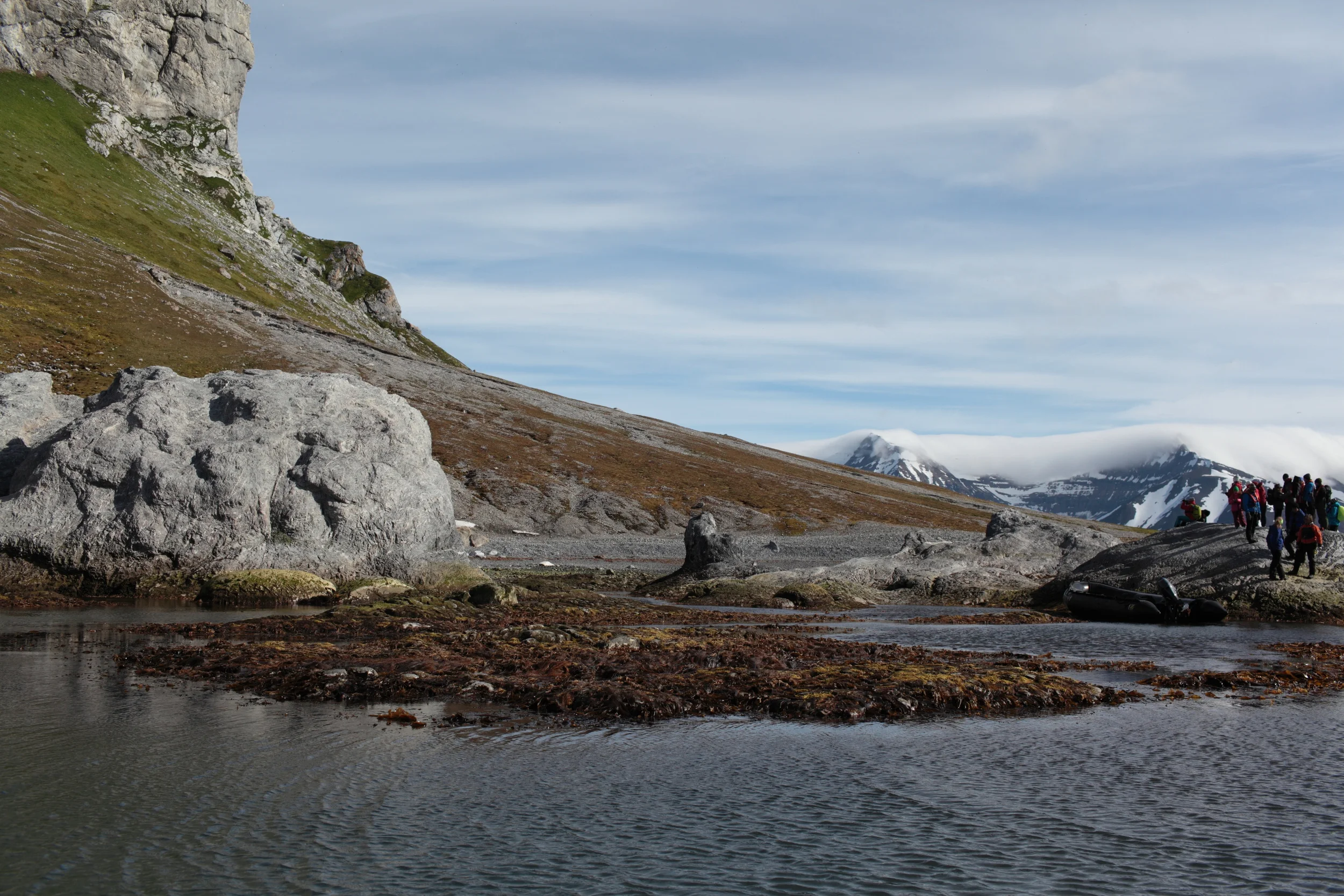 Polar Squarespace13.JPG