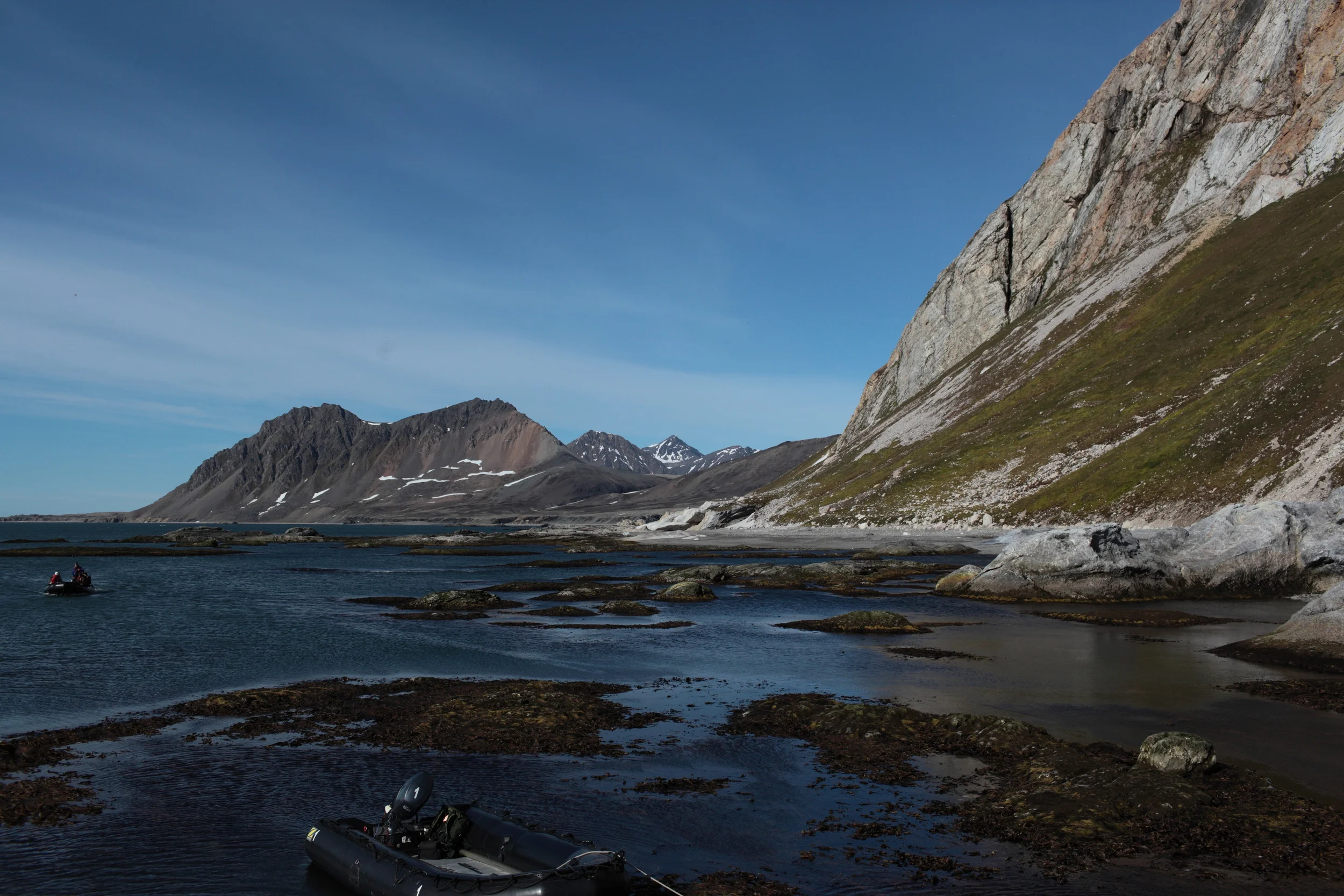 Polar Squarespace14.JPG