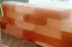Himalayan Salt Blocks