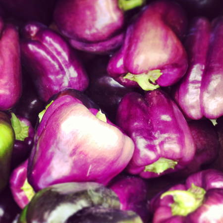Fresh purple peppers from the farmers market.