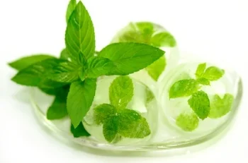 Mint leaves in ice cubes. 