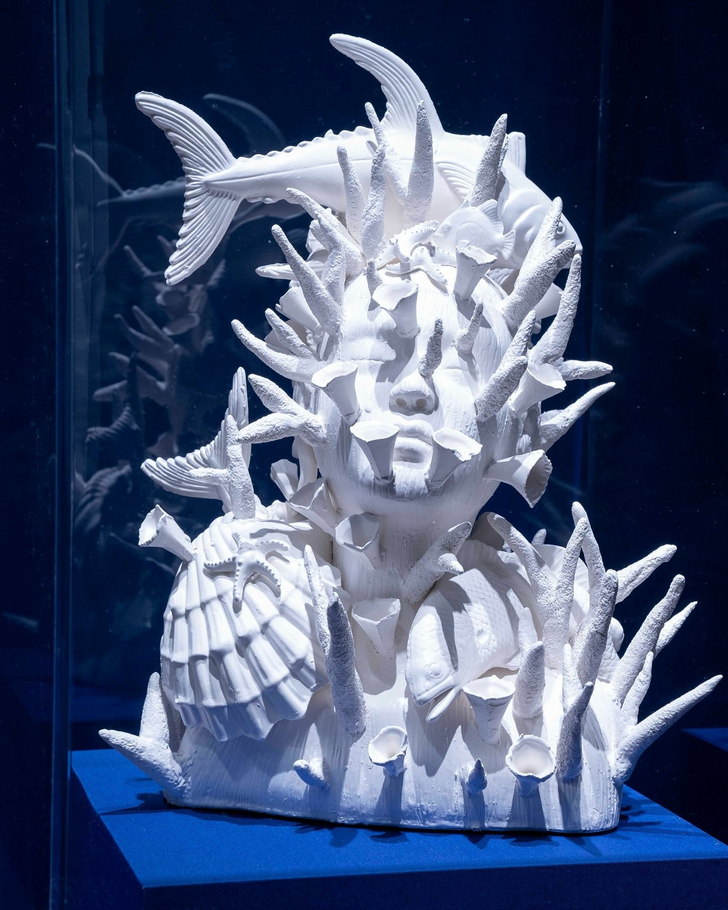 One of the best Museum exhibition layouts I&rsquo;ve seen in a while!

I am thrilled to share &ldquo;Fragile Beauty: Art of the Ocean.&rdquo; This exhibition explores the art of the ocean in Hillwood&rsquo;s collection, from oceanic representations t
