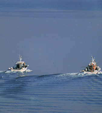 paros sea.png