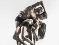 Pilobolus Sept 25th 2015