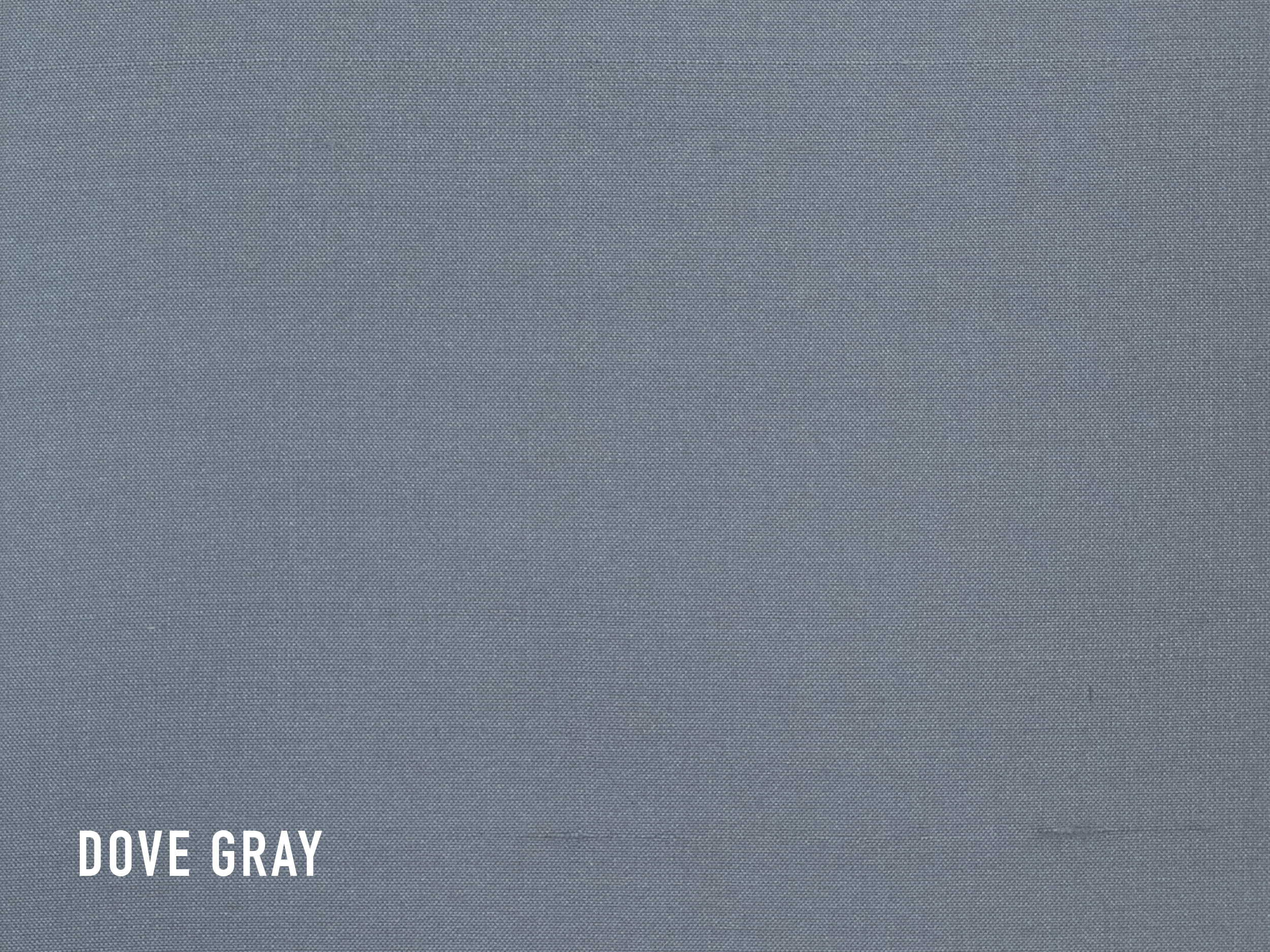 dove_gray.jpg