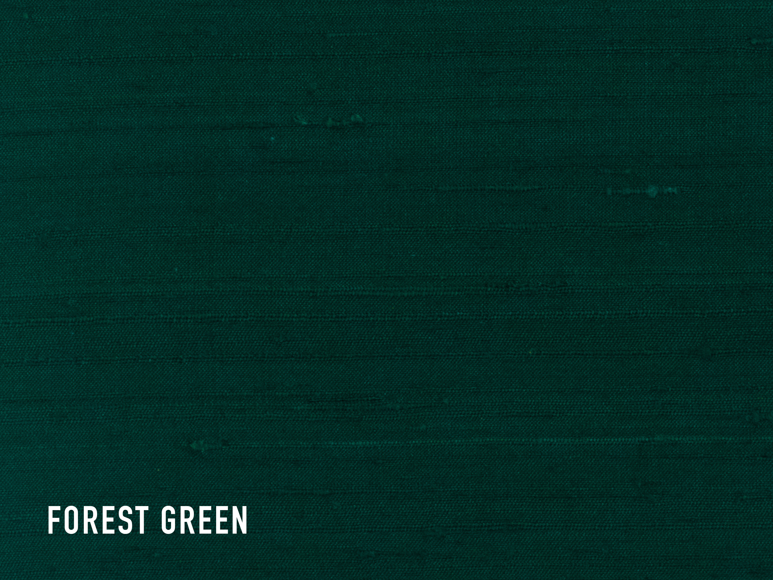 forest_green.jpg