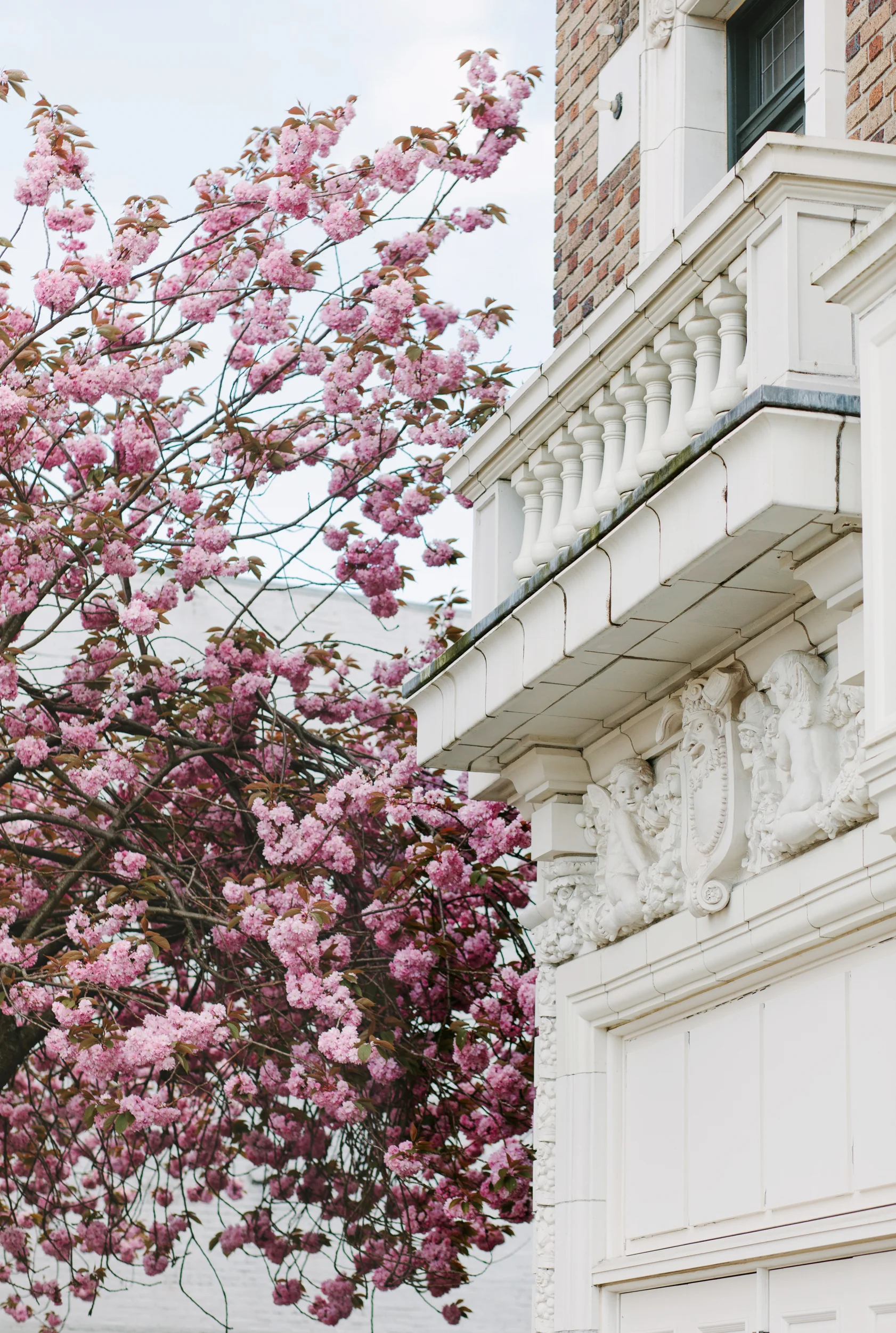 Capturing the Fort Common District