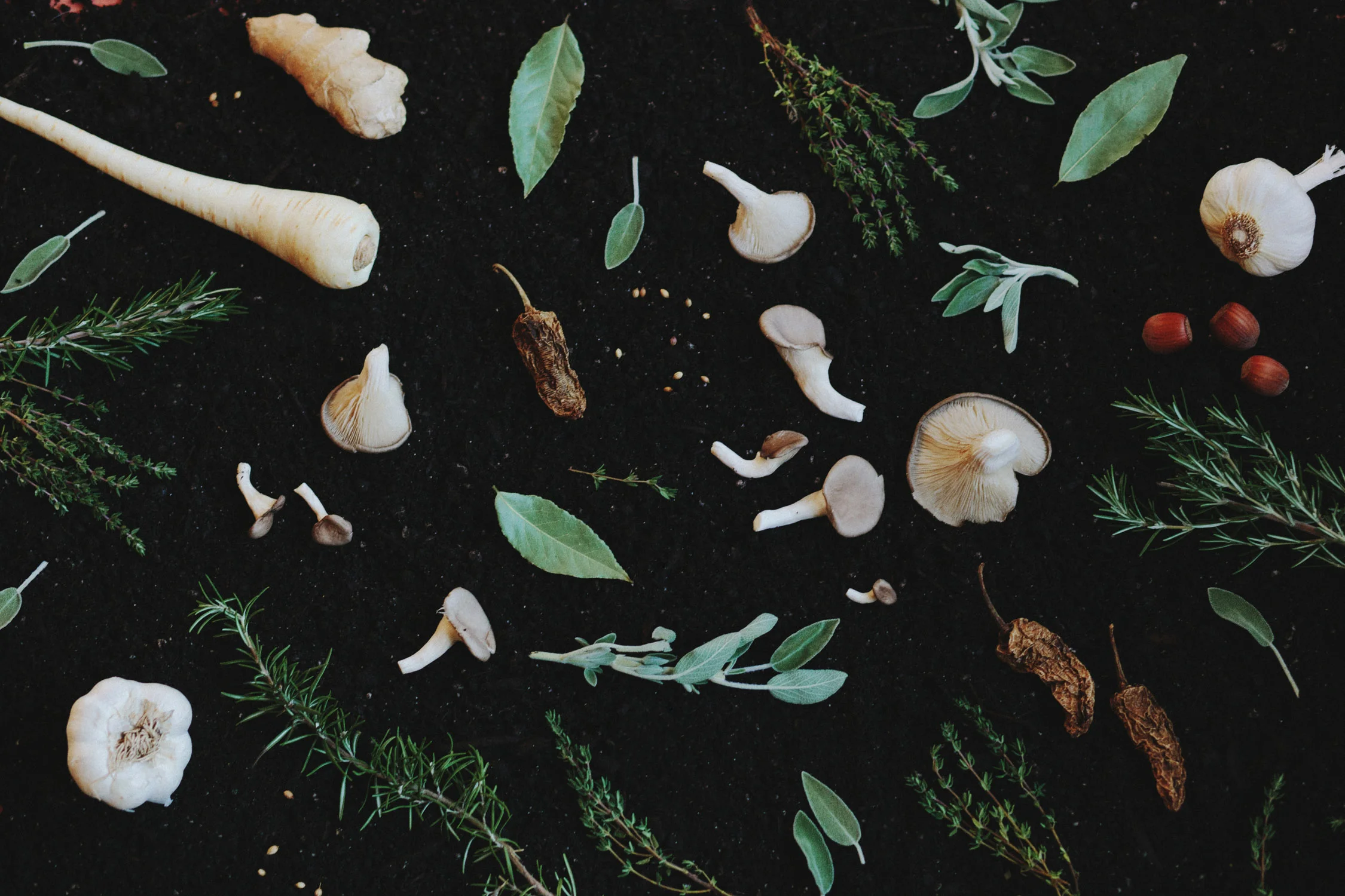 MENU COVER DESIGN | STYLING &amp; CREATIVE DIRECTION PHOTOGRAPHY | KELLY BROWN