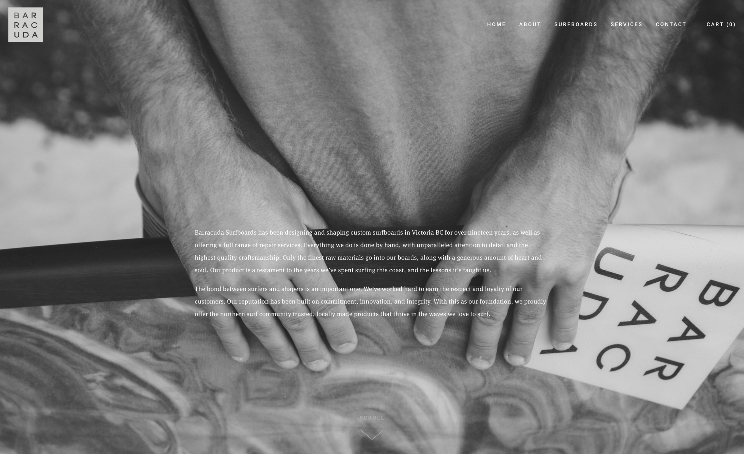 BRANDING &amp; WEBSITE DESIGN