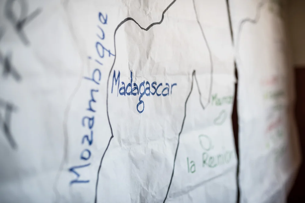 beech madagaskar 02.jpg