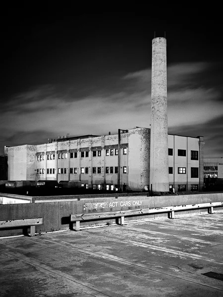 cambridge2 (14 of 16).jpg