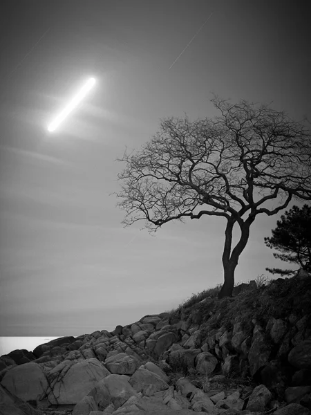 northshore1 (14 of 18).jpg