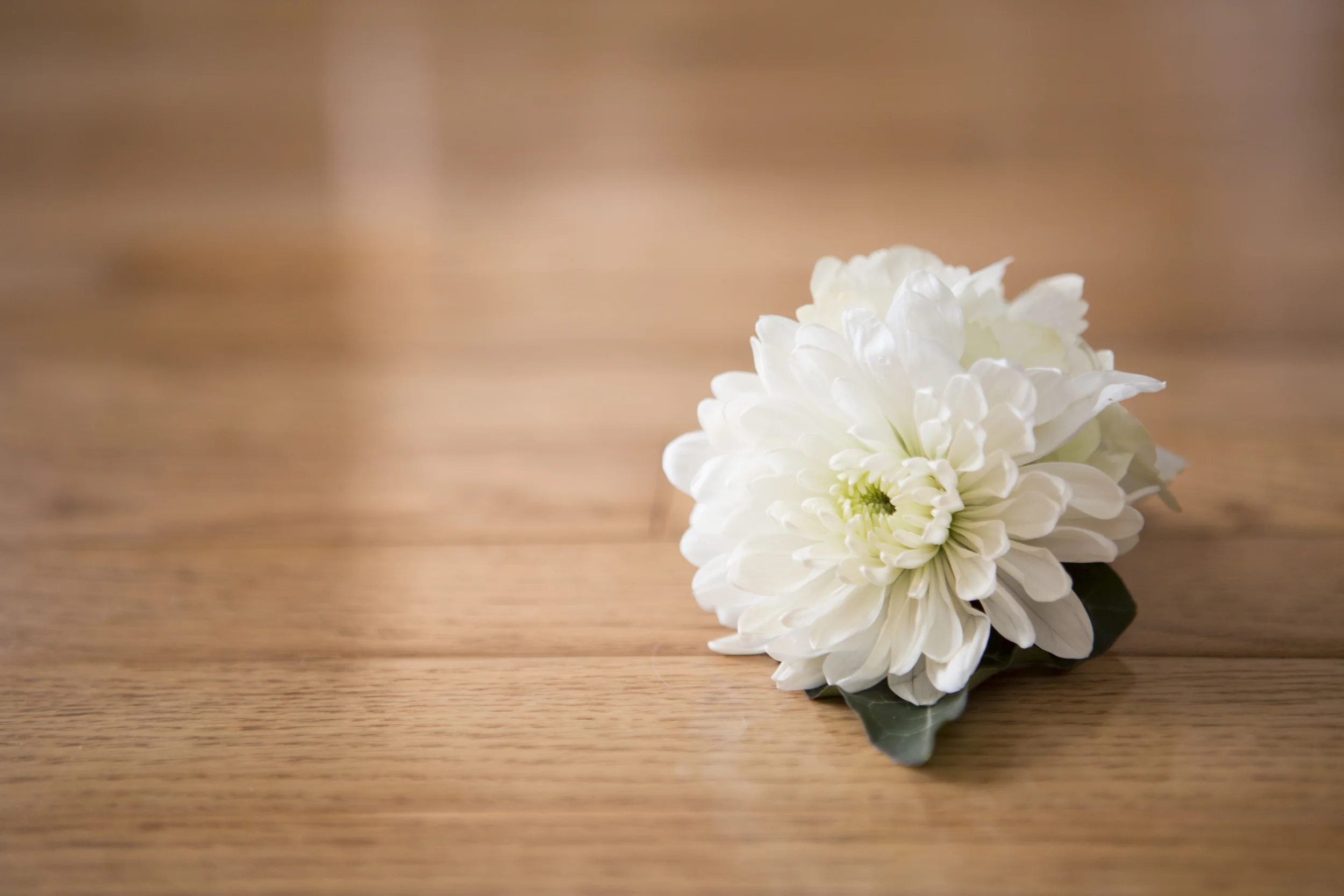 eva-derrick-photography-wedding-photo-winter-wedding-ravine-john-michaels-april-bride-groom-details-ceremony-church-scapular-reception-rustic-purple-photo.jpg