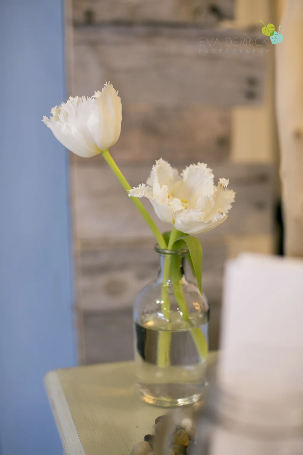 edp_bridalshow_jan_edp-0007-photo.jpg
