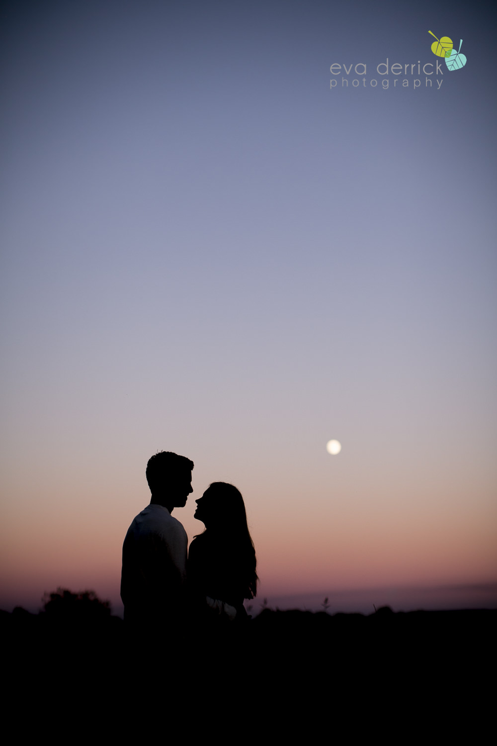 Niagara-Engagement-Photographer-Engagement-Session-Vineyard-Farm-Fields-Beth-Dan-photography-by-Eva-Derrick-Photography-021.JPG