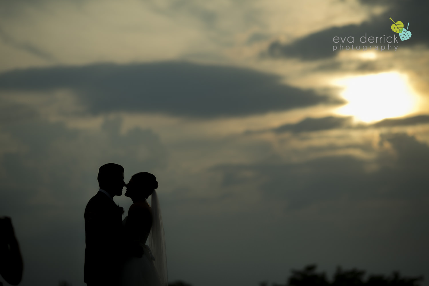 Hamilton-Wedding-Photographer-Anne-an-Co-Niagara-Weddings-Niagara-Elopement-photography-by-Eva-Derrick-Photography-021.JPG