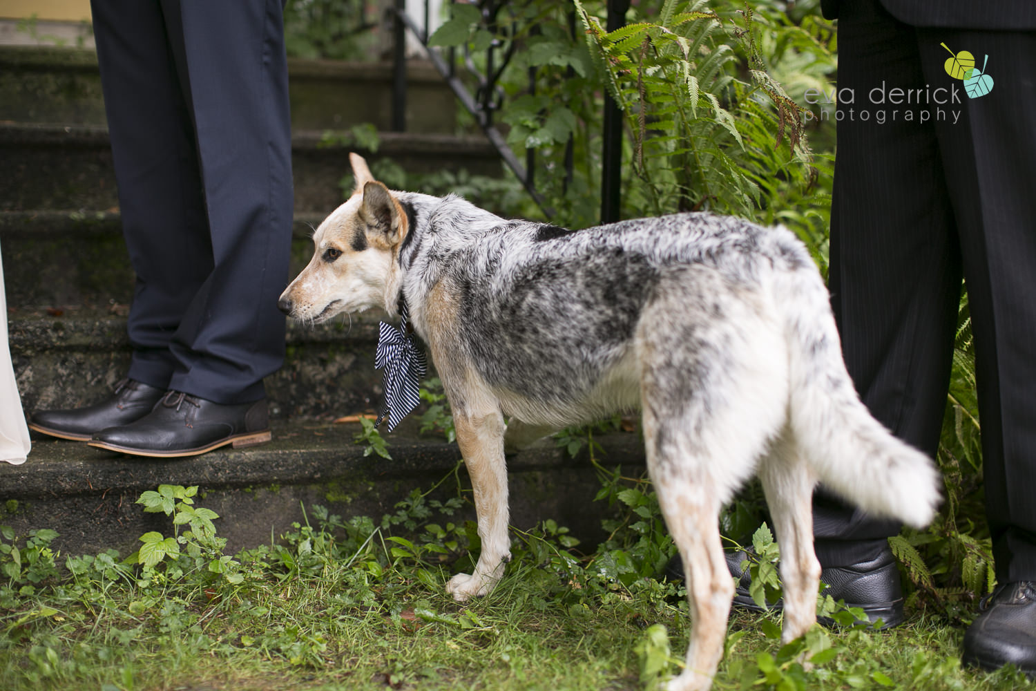 Honsberger-Estate-Wedding-Photographer-Niagara-Weddings-photography-by-Eva-Derrick-Photography-046.JPG