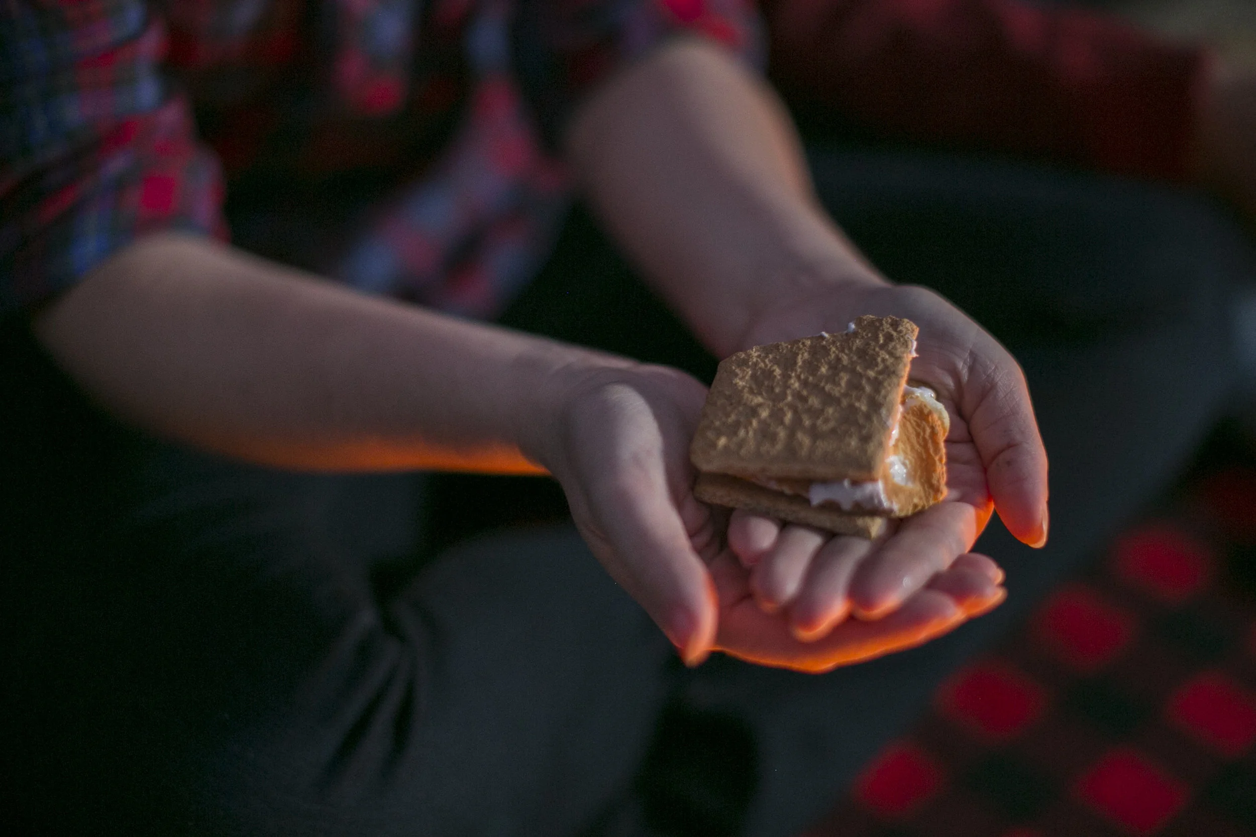 Campfire Engagement Session | Minden, Ontario Photographer