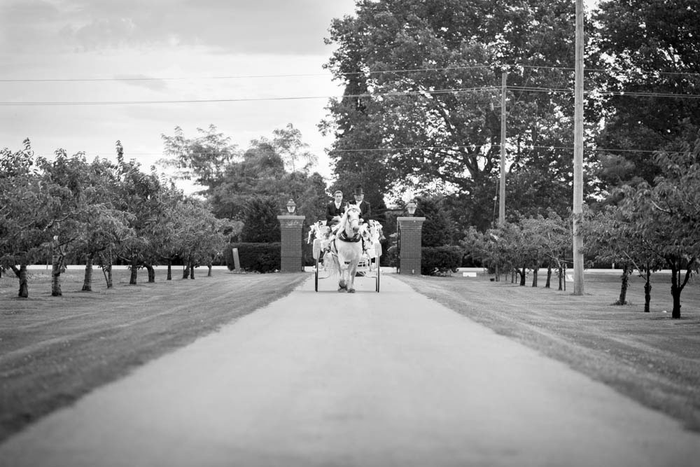 Honsberger-Estate-wedding-barn-wedding-Inn-on-the-Twenty-Niagara-wedding-photographers-Philosophy-Studios-Eva-Derrick-Photography-033.JPG