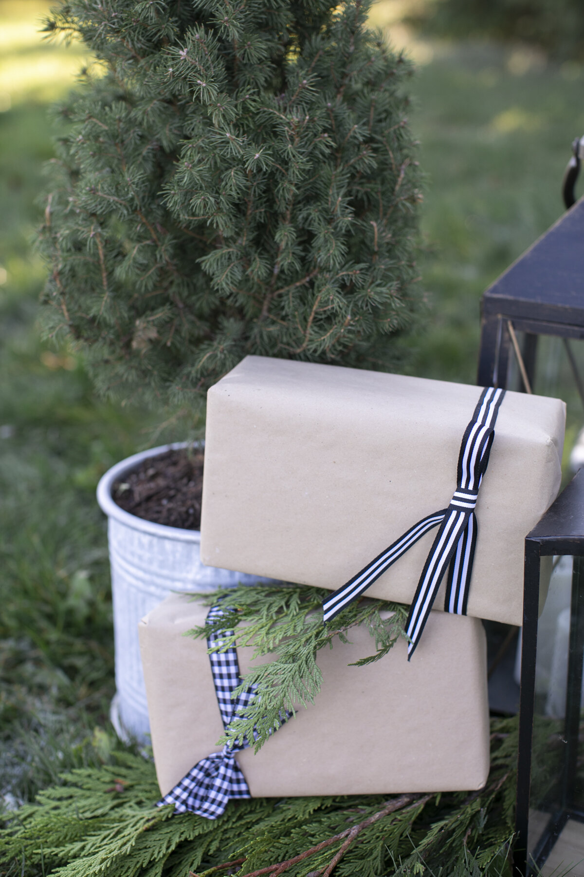 Outdoor-Christmas-Mini-Session-Farm-on-Fifth-Tree-Farm-Sparkle-and-Twine-Event-Planning-photo-by-Philosophy-Studios-0007.JPG
