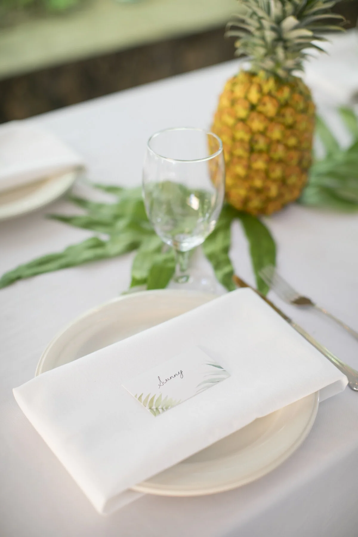 Oahu, Hawaii Destination Wedding Photographers | Karlisle + Dan