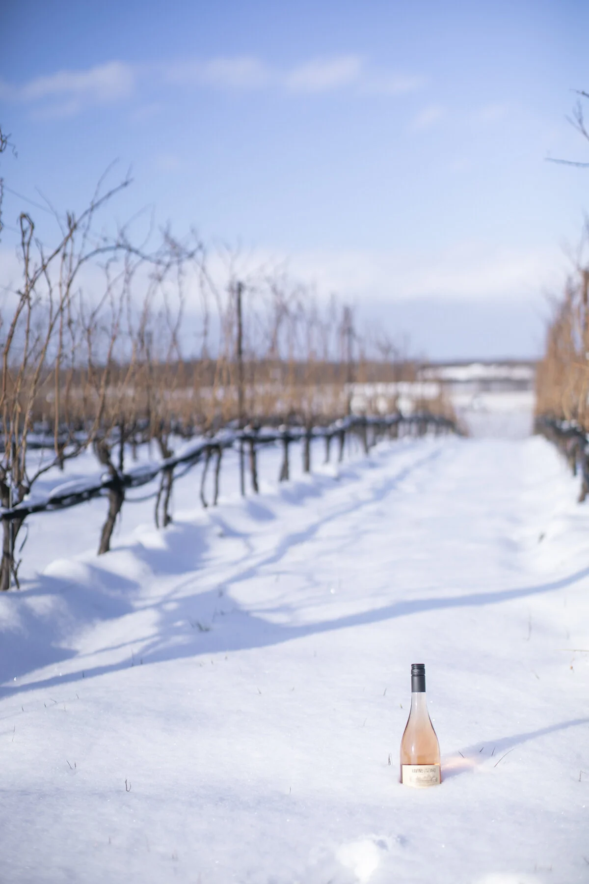 The Atelier Collective | Ravine Vineyard