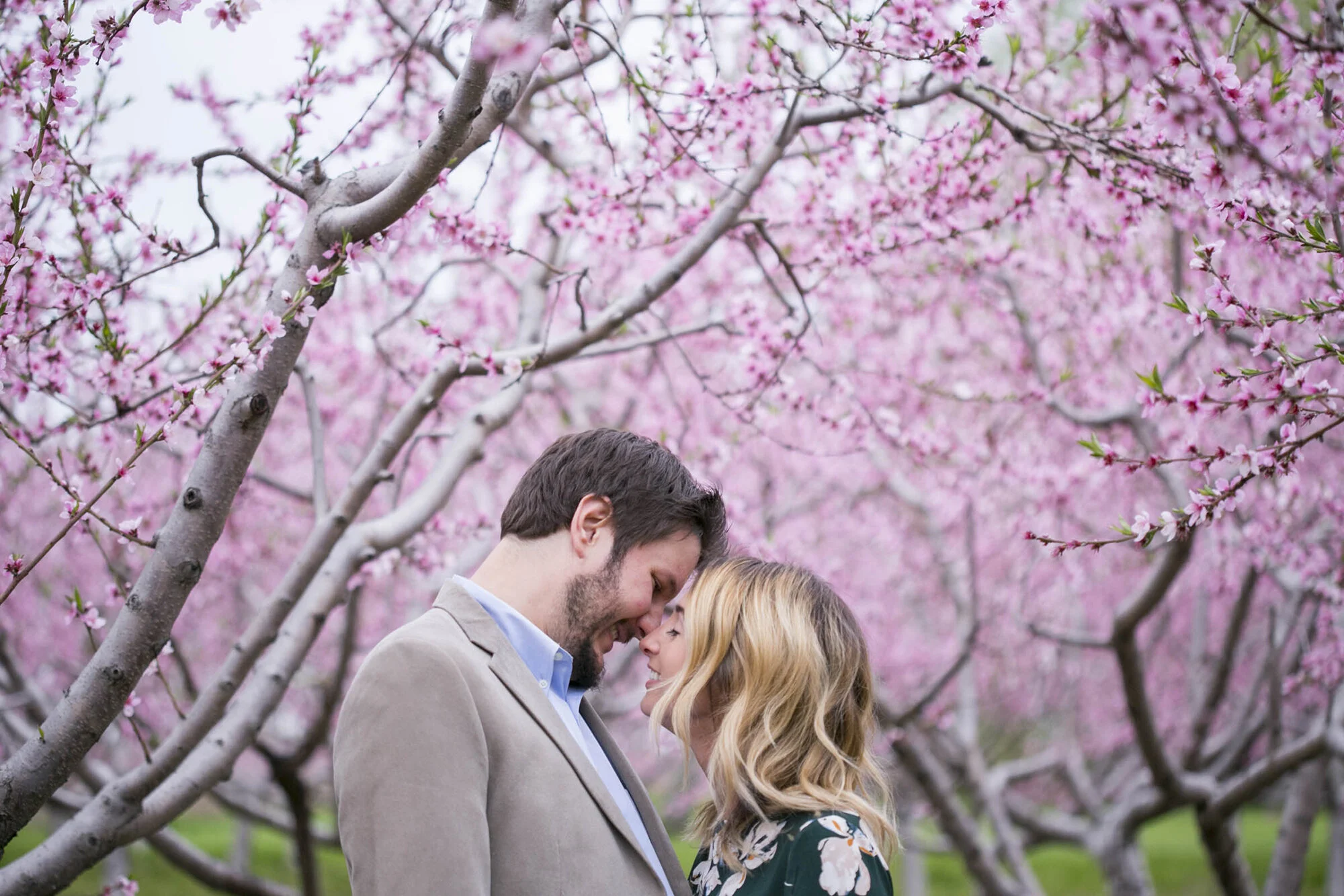 Blossom Engagement Session | Niagara on the Lake Engagement Photographers