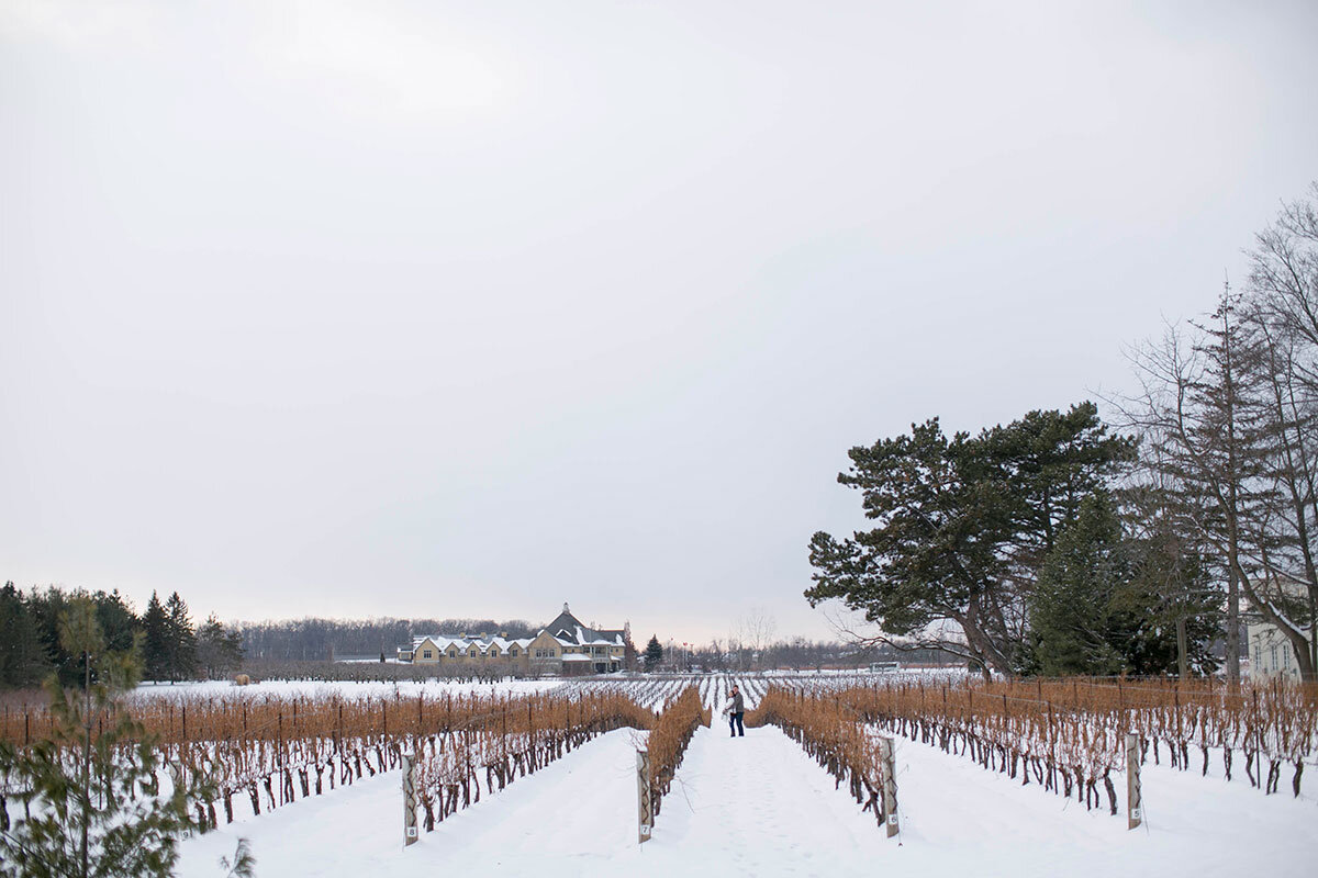 Winter-Vineyard-Orchard-Engagement-Session-in-Niagara-on-the-Lake-photos-by-Philosophy-Studios-0017.JPG