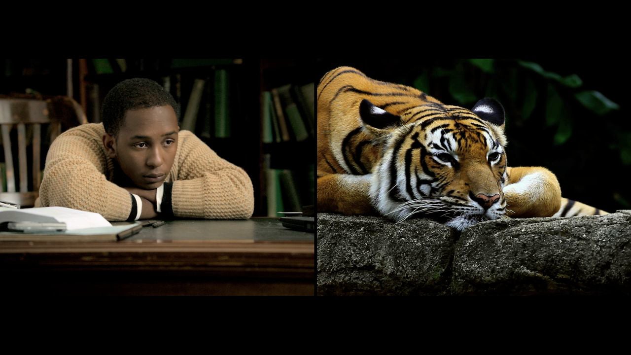 WWF
