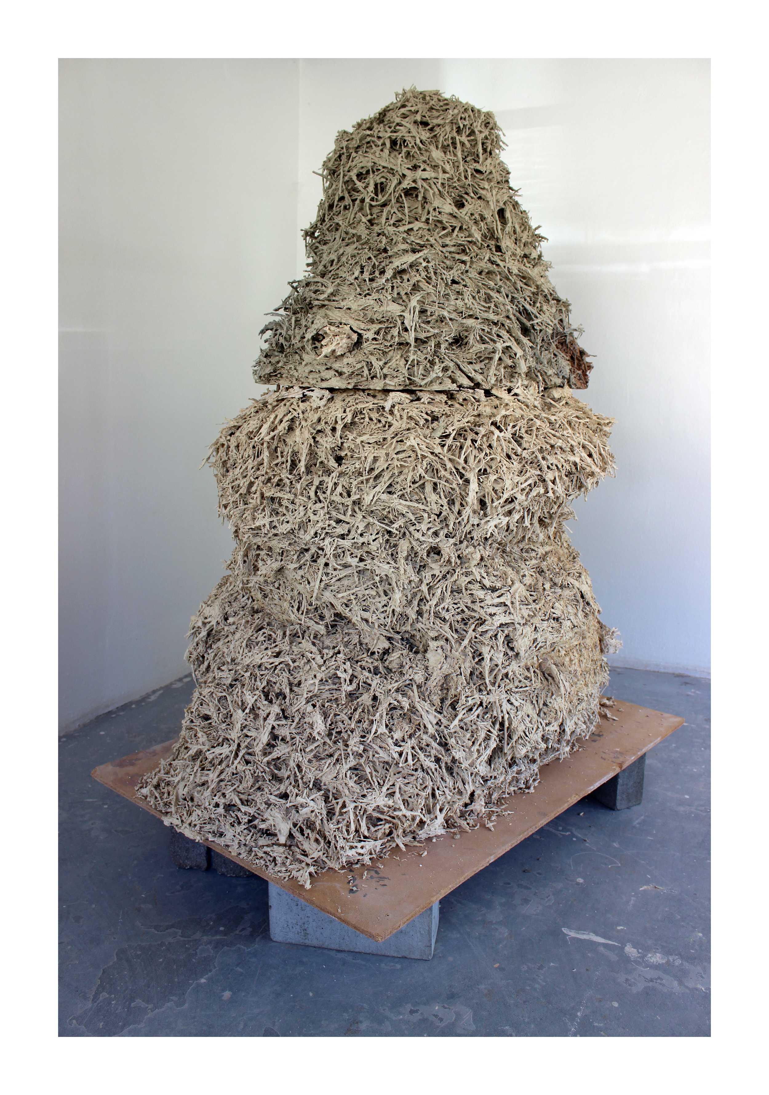 hay2.jpg