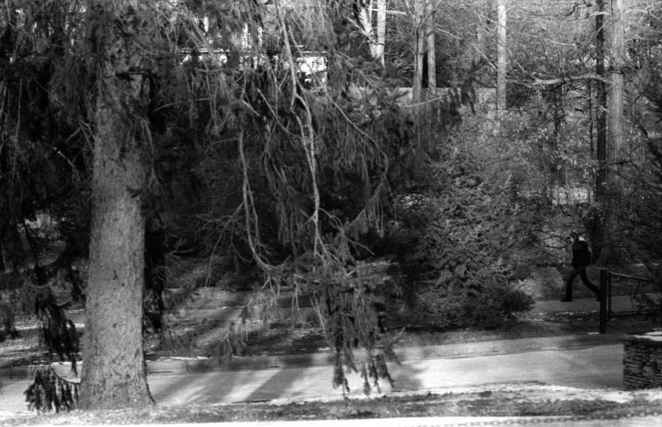 Scan100042.jpg