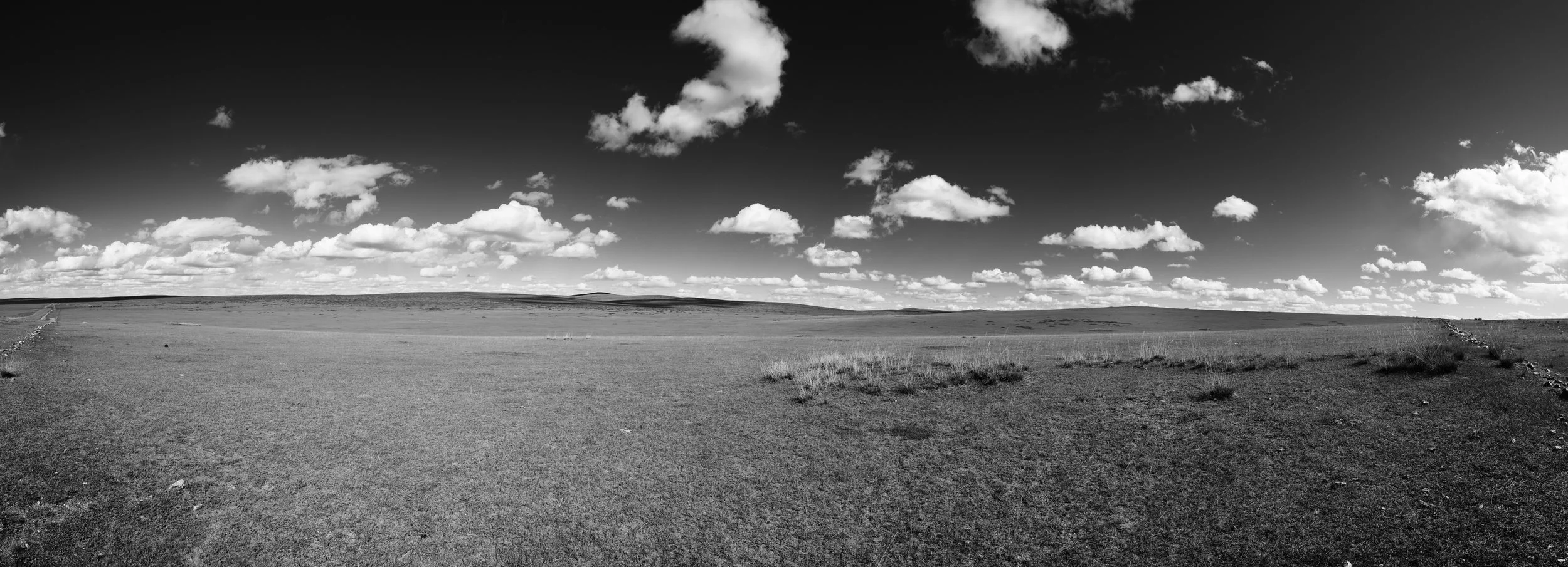 Untitled_Panorama14.jpg