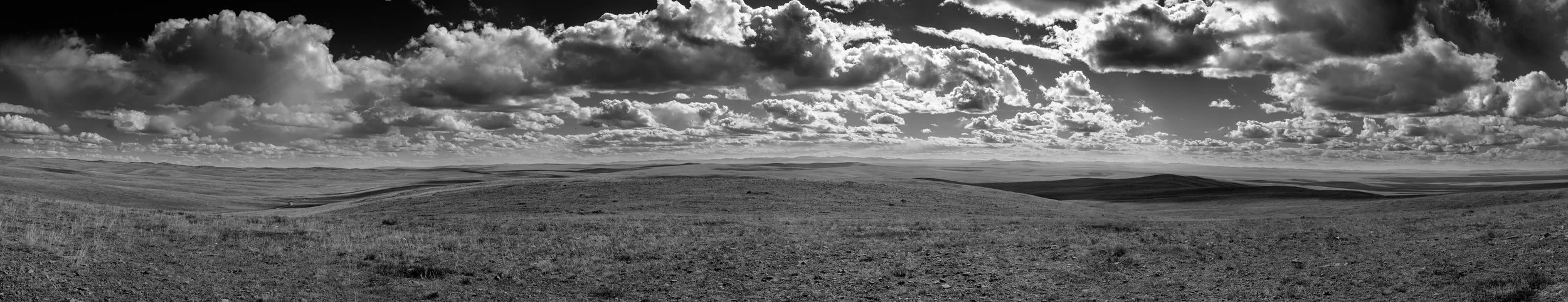 Untitled_Panorama18.jpg