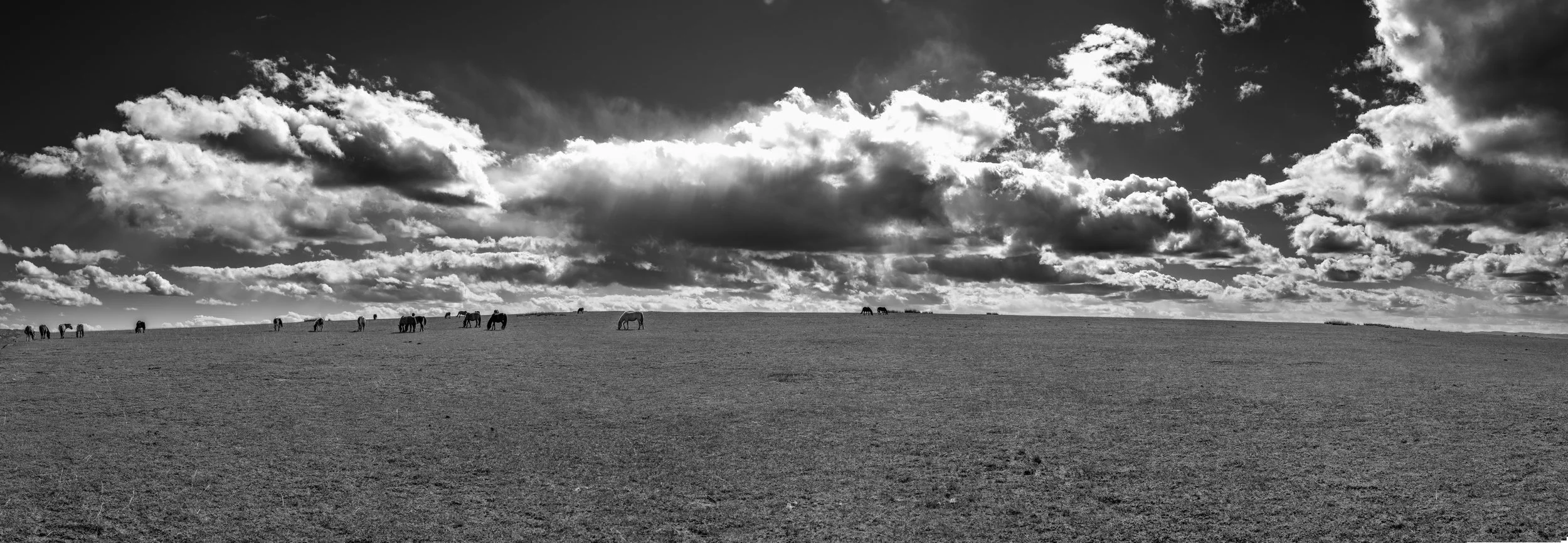 Untitled_Panorama15.jpg