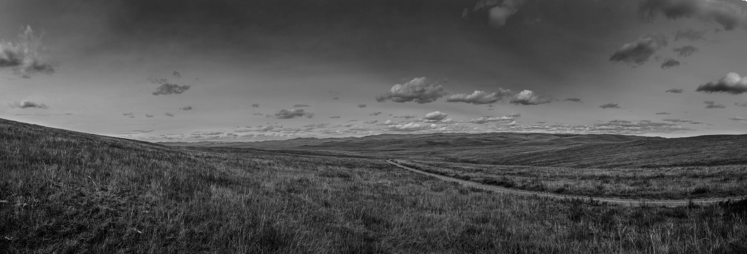 Untitled_Panorama21.jpg