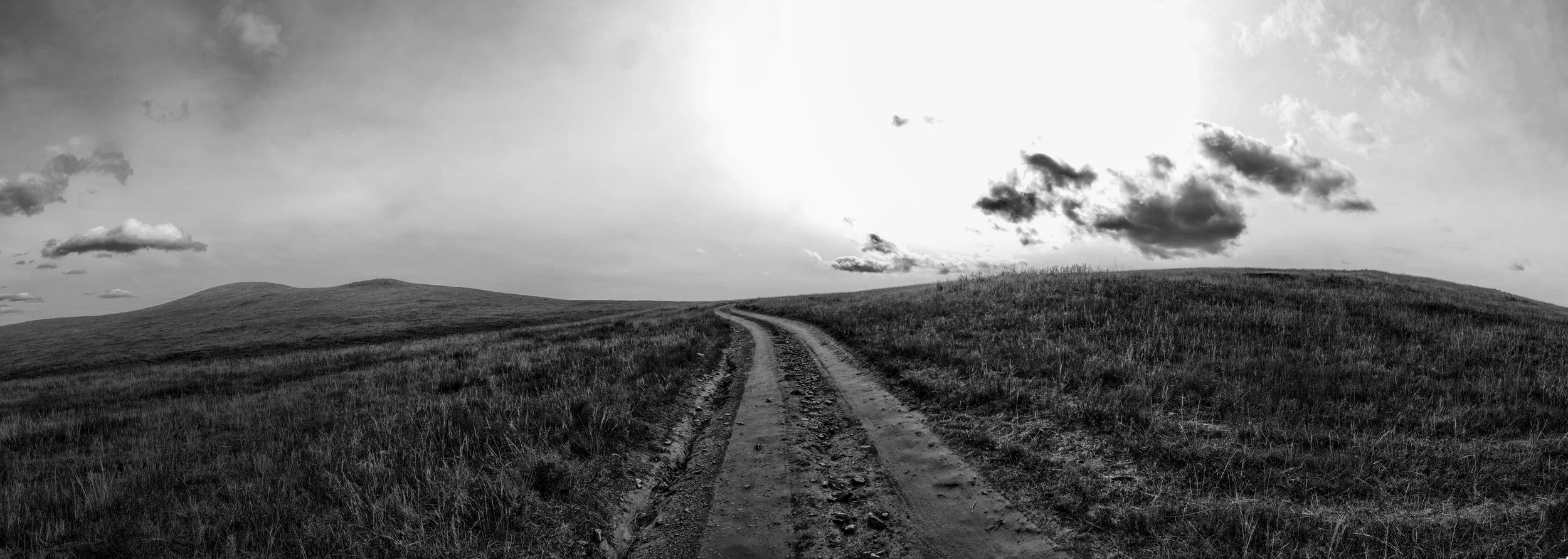 Untitled_Panorama24.jpg