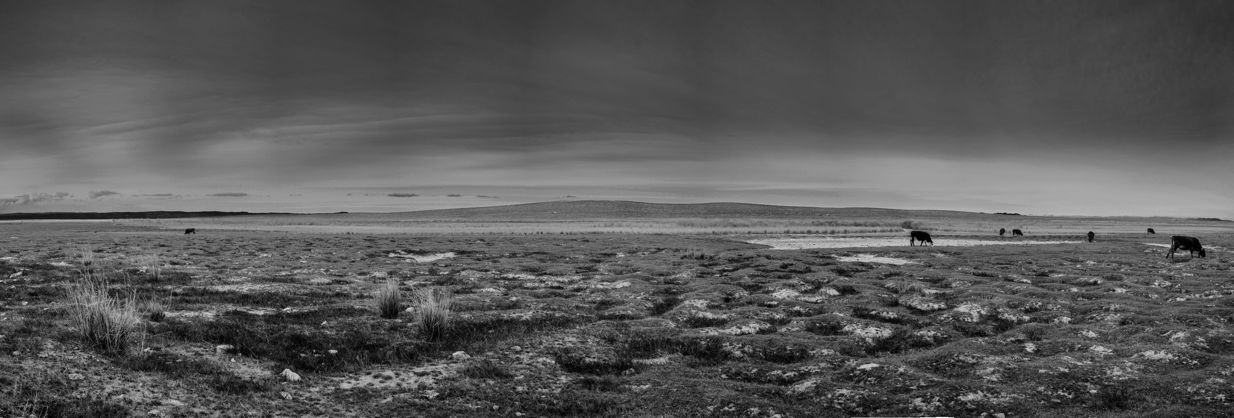 Untitled_Panorama29.jpg
