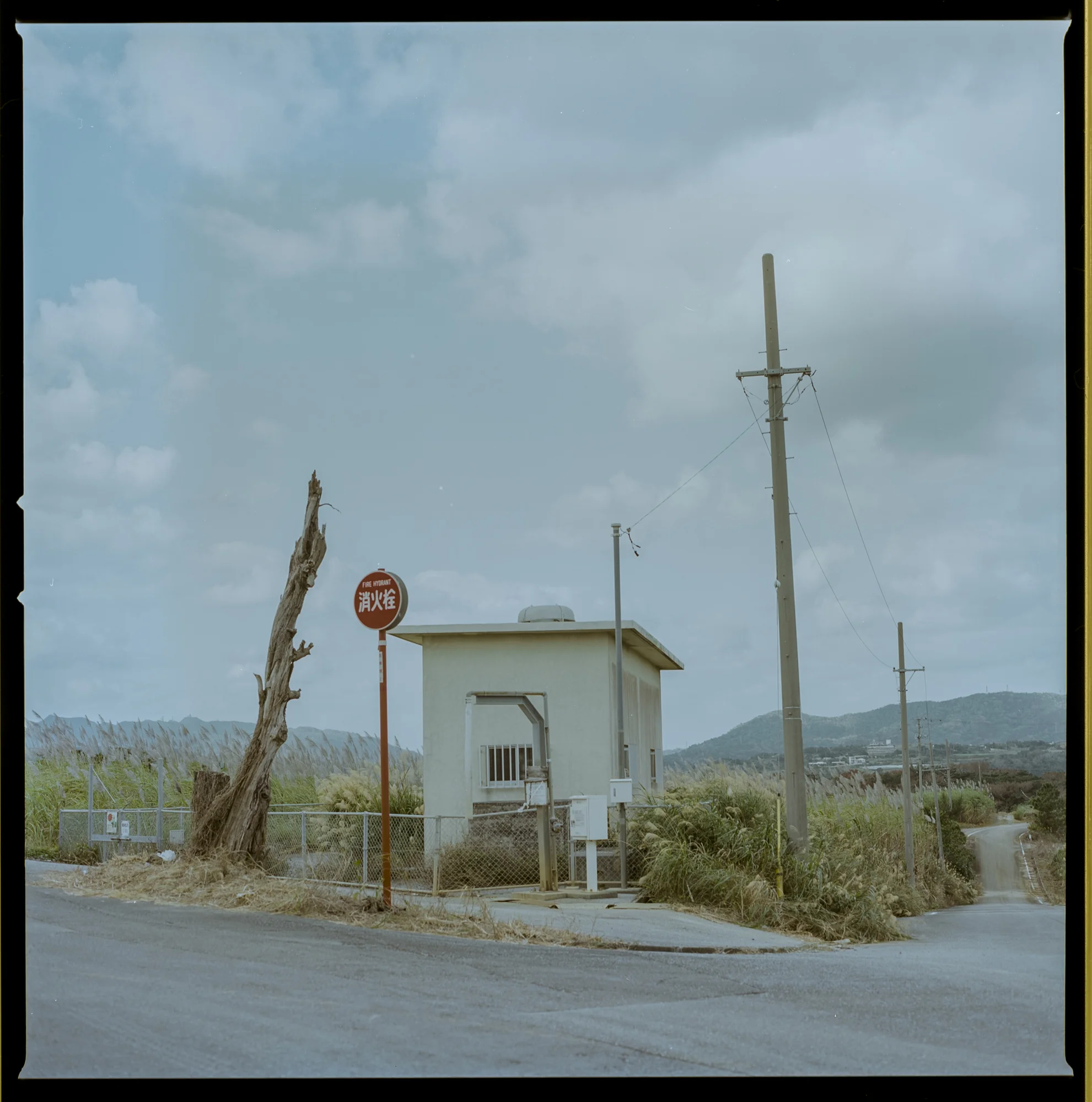 hasselblad503cw_1701_no127_03.jpg