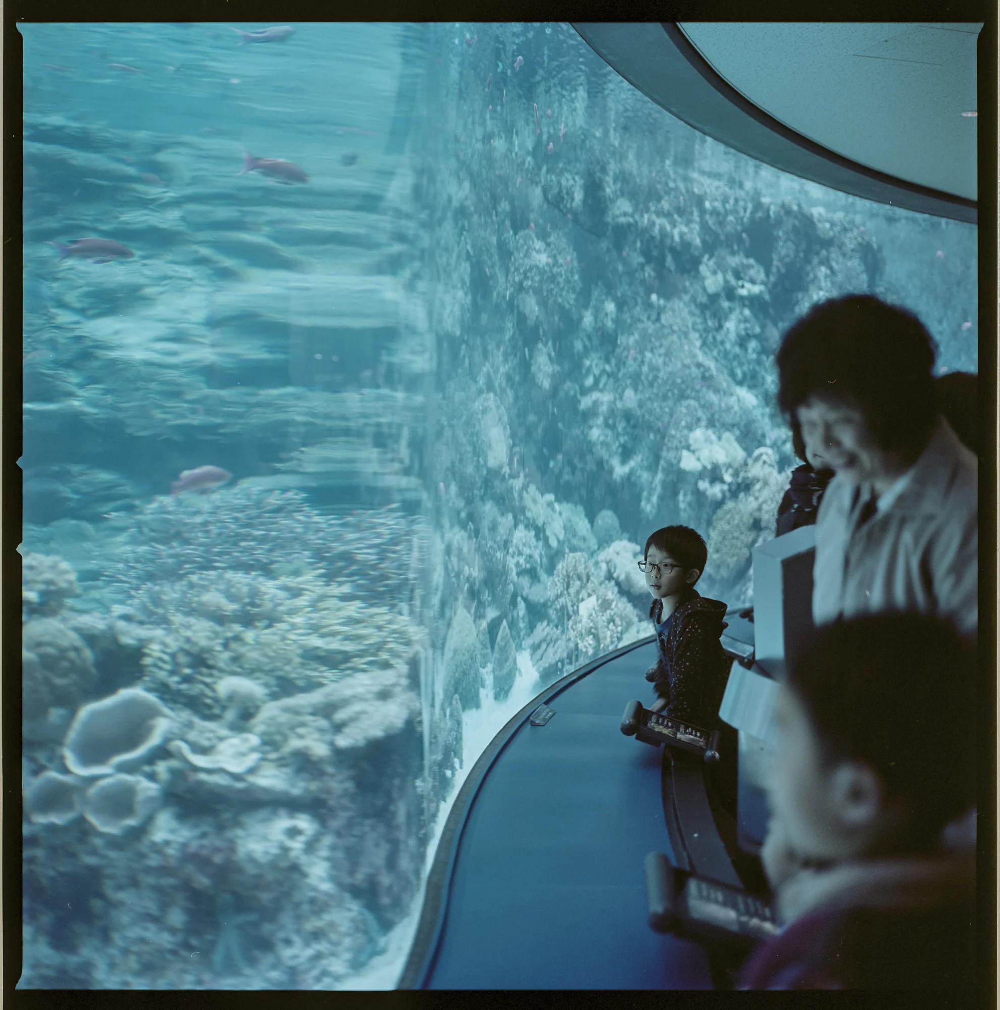 hasselblad503cw_1701_no128_23.jpg
