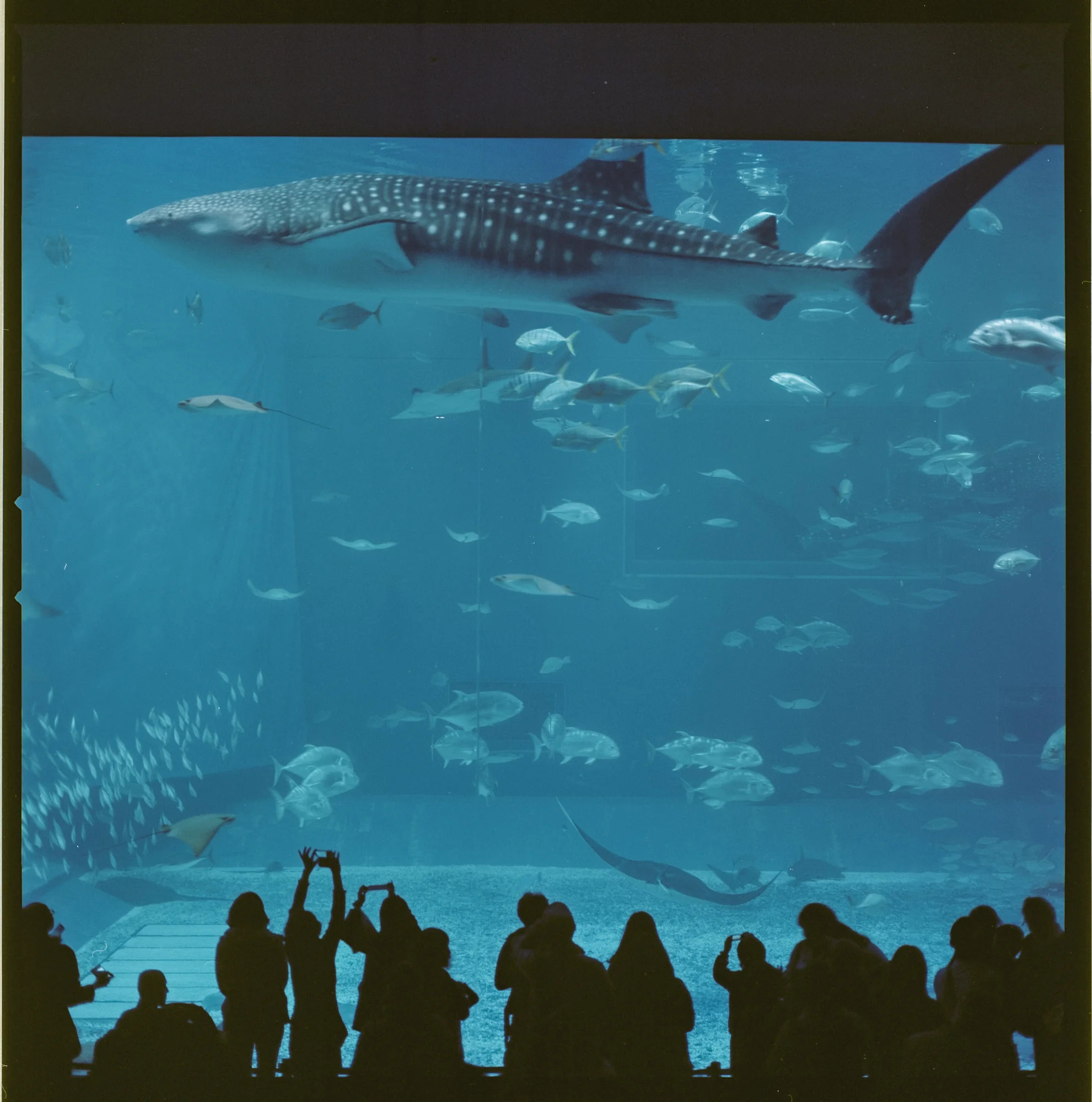 hasselblad503cw_1701_no129_28.jpg