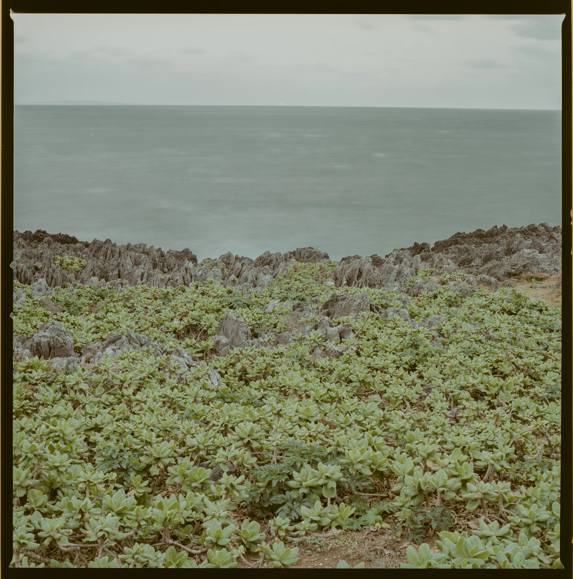 hasselblad503cw_1701_no134_91.jpg
