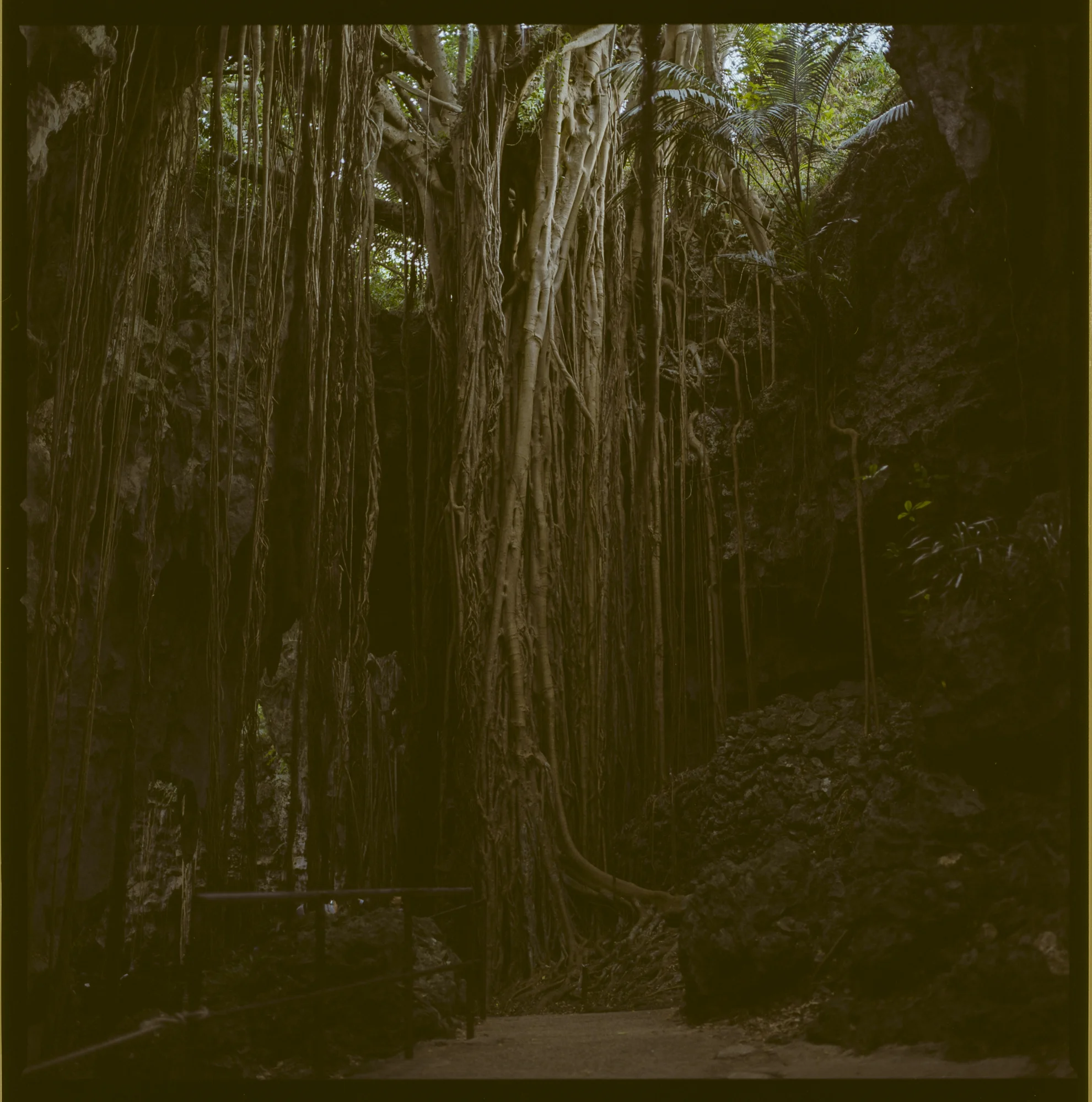 hasselblad503cw_1701_no139_146.jpg