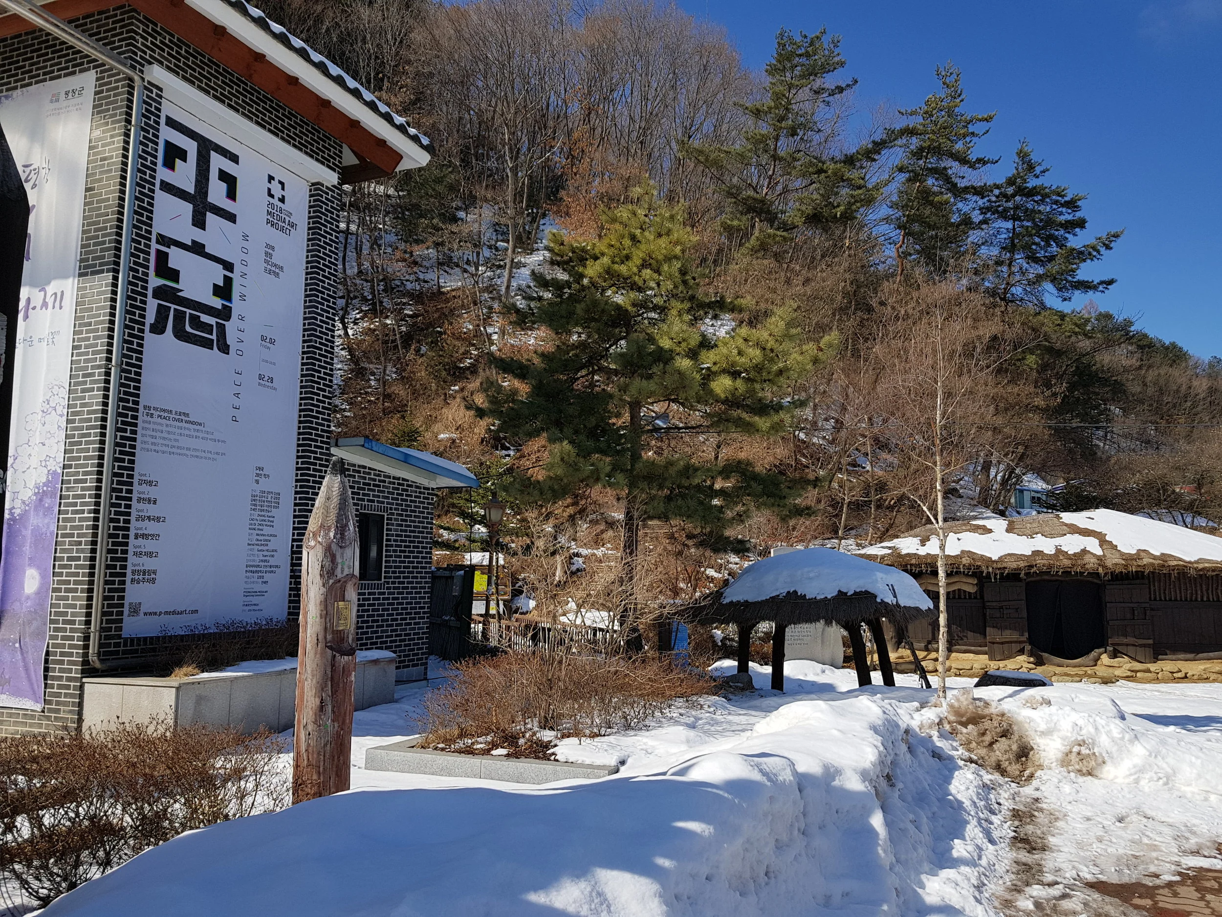 20180202_121226.jpg